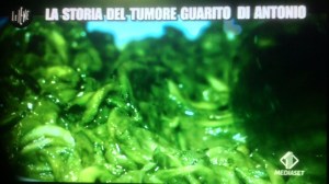 Le Iene cura al tumore dieta vegetali Vegano Italia 1 Antonio